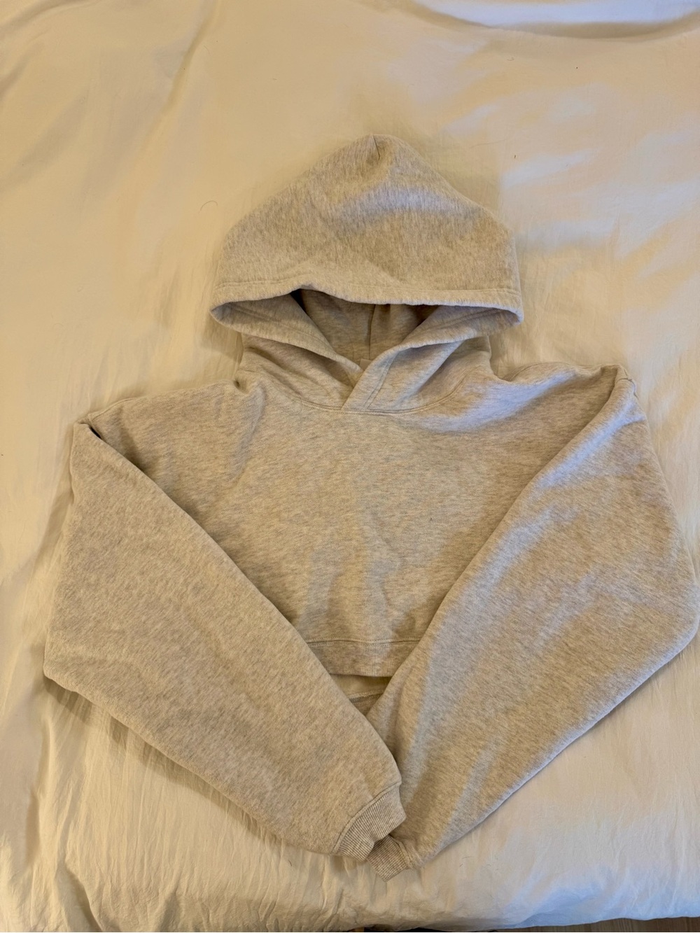 Aritzia Sweatfleece Cropped Hoodie Size Medium